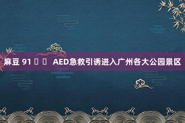 麻豆 91 		 AED急救引诱进入广州各大公园景区