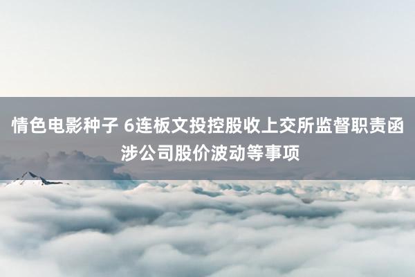 情色电影种子 6连板文投控股收上交所监督职责函 涉公司股价波动等事项