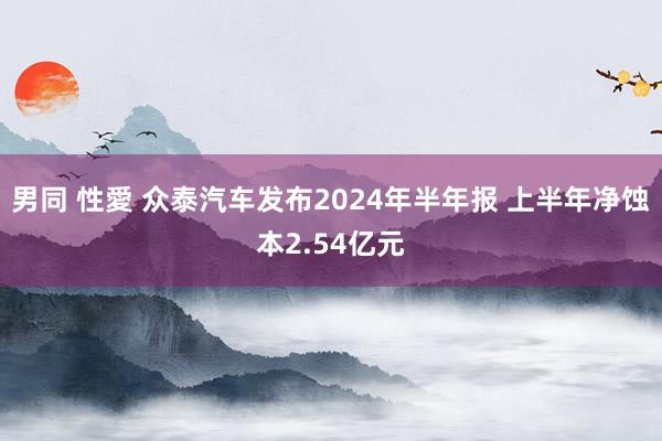 男同 性愛 众泰汽车发布2024年半年报 上半年净蚀本2.54亿元