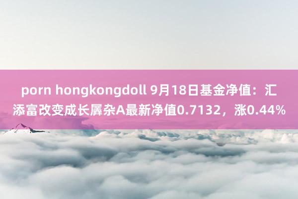 porn hongkongdoll 9月18日基金净值：汇添富改变成长羼杂A最新净值0.7132，涨0.44%