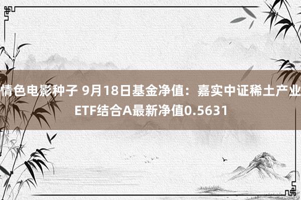 情色电影种子 9月18日基金净值：嘉实中证稀土产业ETF结合A最新净值0.5631