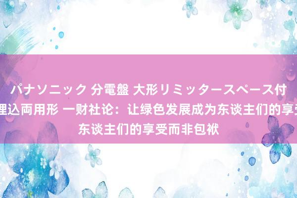 パナソニック 分電盤 大形リミッタースペース付 露出・半埋込両用形 一财社论：让绿色发展成为东谈主们的享受而非包袱