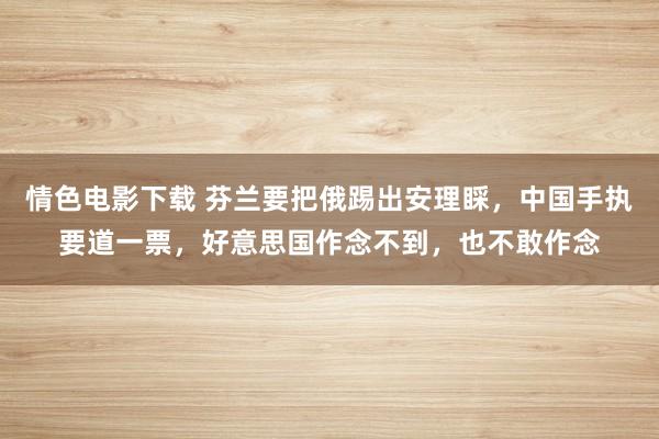 情色电影下载 芬兰要把俄踢出安理睬，中国手执要道一票，好意思国作念不到，也不敢作念