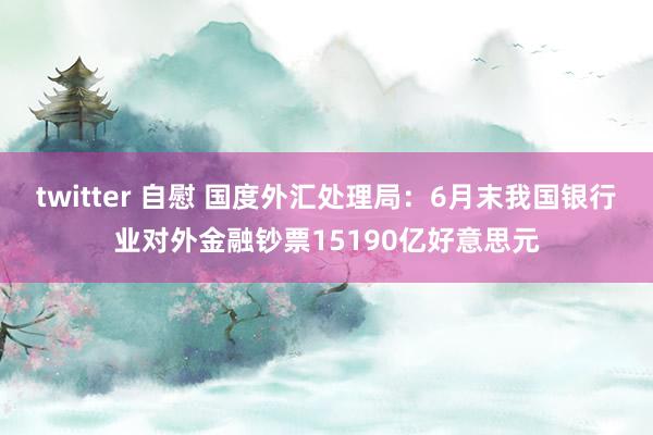 twitter 自慰 国度外汇处理局：6月末我国银行业对外金融钞票15190亿好意思元