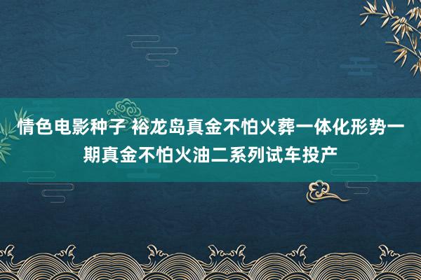 情色电影种子 裕龙岛真金不怕火葬一体化形势一期真金不怕火油二系列试车投产