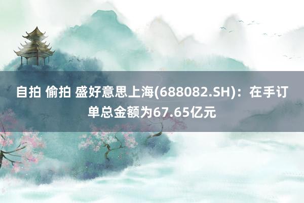 自拍 偷拍 盛好意思上海(688082.SH)：在手订单总金额为67.65亿元