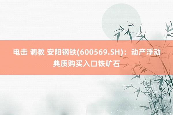 电击 调教 安阳钢铁(600569.SH)：动产浮动典质购买入口铁矿石