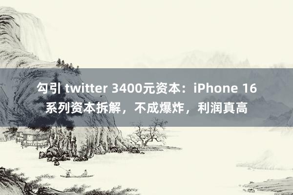 勾引 twitter 3400元资本：iPhone 16系列资本拆解，不成爆炸，利润真高