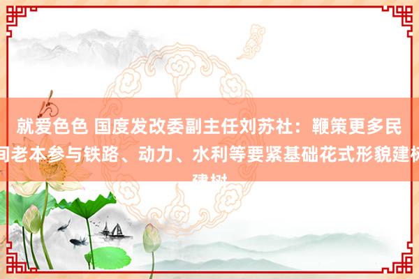 就爱色色 国度发改委副主任刘苏社：鞭策更多民间老本参与铁路、动力、水利等要紧基础花式形貌建树