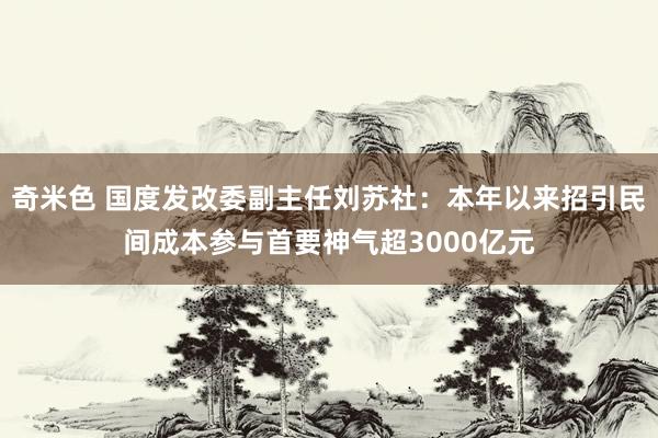 奇米色 国度发改委副主任刘苏社：本年以来招引民间成本参与首要神气超3000亿元