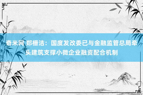 奇米网 郑栅洁：国度发改委已与金融监管总局牵头建筑支撑小微企业融资配合机制