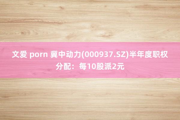 文爱 porn 冀中动力(000937.SZ)半年度职权分配：每10股派2元