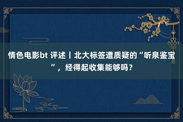 情色电影bt 评述丨北大标签遭质疑的“听泉鉴宝”，经得起收集能够吗？