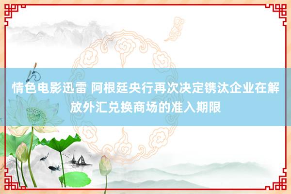 情色电影迅雷 阿根廷央行再次决定镌汰企业在解放外汇兑换商场的准入期限