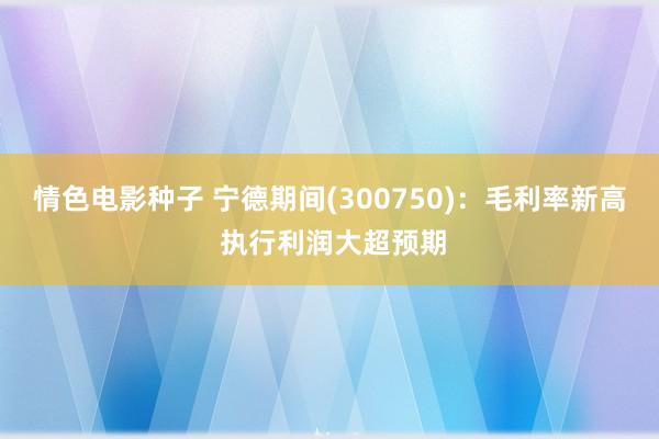 情色电影种子 宁德期间(300750)：毛利率新高 执行利润大超预期