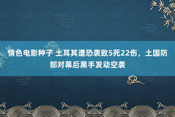 情色电影种子 土耳其遭恐袭致5死22伤，土国防部对幕后黑手发动空袭