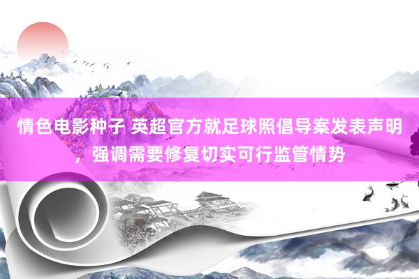 情色电影种子 英超官方就足球照倡导案发表声明，强调需要修复切实可行监管情势