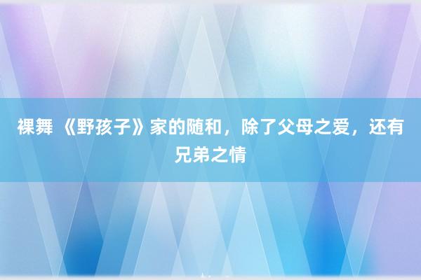 裸舞 《野孩子》家的随和，除了父母之爱，还有兄弟之情