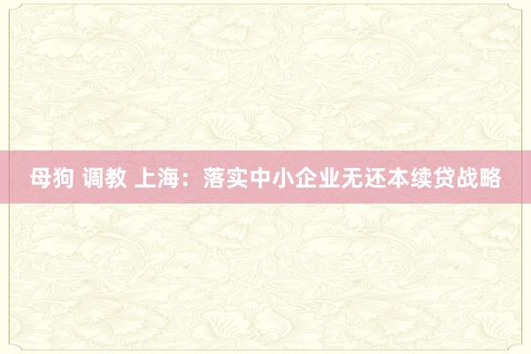 母狗 调教 上海：落实中小企业无还本续贷战略