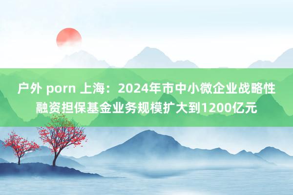 户外 porn 上海：2024年市中小微企业战略性融资担保基金业务规模扩大到1200亿元