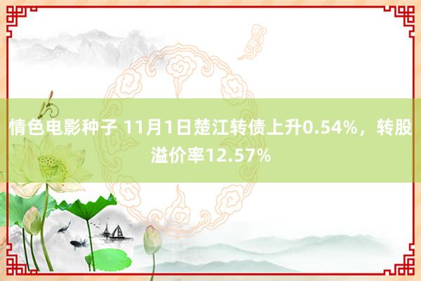 情色电影种子 11月1日楚江转债上升0.54%，转股溢价率12.57%