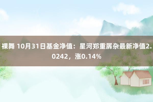 裸舞 10月31日基金净值：星河郑重羼杂最新净值2.0242，涨0.14%