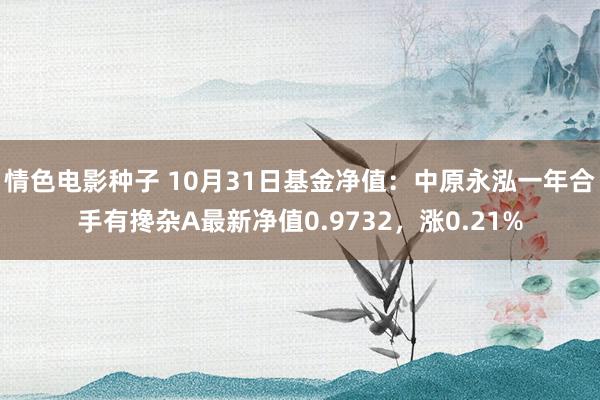 情色电影种子 10月31日基金净值：中原永泓一年合手有搀杂A最新净值0.9732，涨0.21%