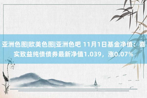 亚洲色图|欧美色图|亚洲色吧 11月1日基金净值：嘉实致益纯债债券最新净值1.039，涨0.07%