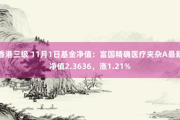 香港三级 11月1日基金净值：富国精确医疗夹杂A最新净值2.3636，涨1.21%