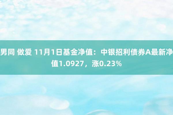 男同 做爱 11月1日基金净值：中银招利债券A最新净值1.0927，涨0.23%