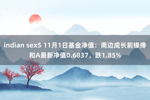 indian sex5 11月1日基金净值：南边成长前锋搀和A最新净值0.6837，跌1.85%