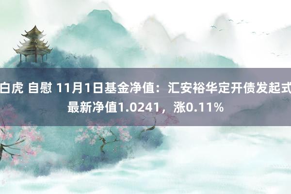 白虎 自慰 11月1日基金净值：汇安裕华定开债发起式最新净值1.0241，涨0.11%