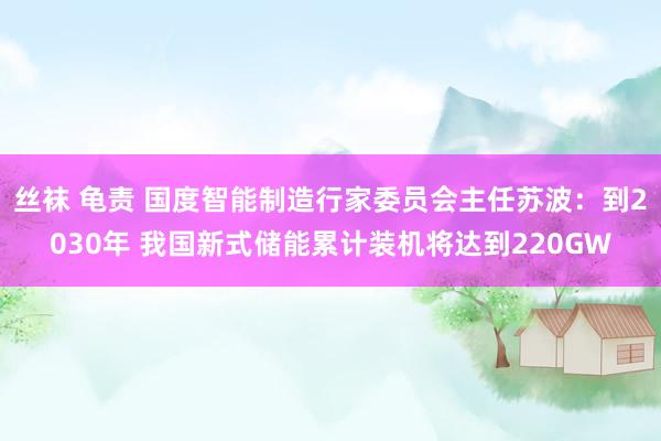 丝袜 龟责 国度智能制造行家委员会主任苏波：到2030年 我国新式储能累计装机将达到220GW