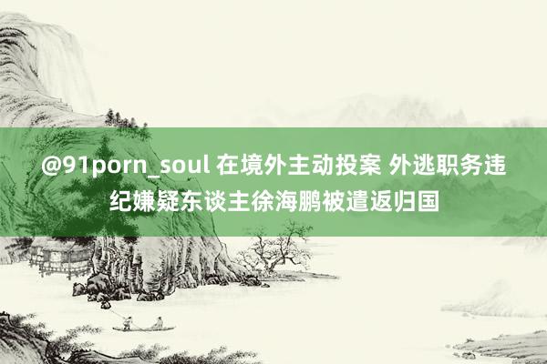 @91porn_soul 在境外主动投案 外逃职务违纪嫌疑东谈主徐海鹏被遣返归国