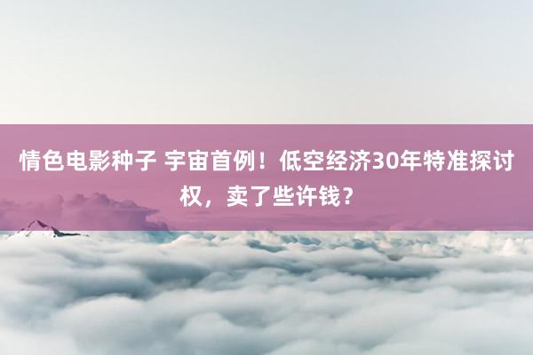 情色电影种子 宇宙首例！低空经济30年特准探讨权，卖了些许钱？