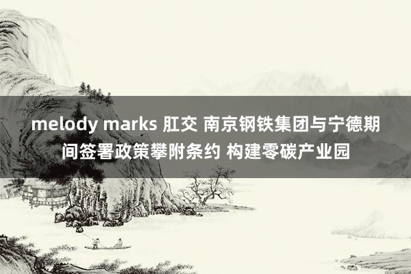 melody marks 肛交 南京钢铁集团与宁德期间签署政策攀附条约 构建零碳产业园