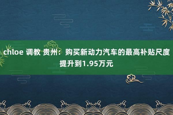 chloe 调教 贵州：购买新动力汽车的最高补贴尺度提升到1.95万元