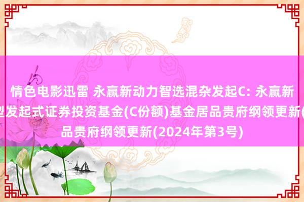 情色电影迅雷 永赢新动力智选混杂发起C: 永赢新动力智选混杂型发起式证券投资基金(C份额)基金居品贵府纲领更新(2024年第3号)