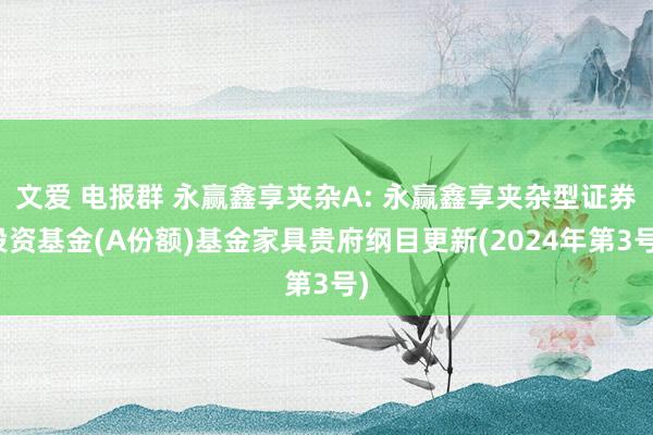 文爱 电报群 永赢鑫享夹杂A: 永赢鑫享夹杂型证券投资基金(A份额)基金家具贵府纲目更新(2024年第3号)