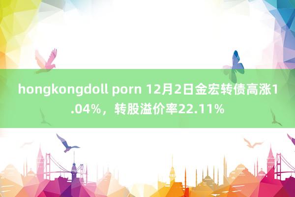 hongkongdoll porn 12月2日金宏转债高涨1.04%，转股溢价率22.11%