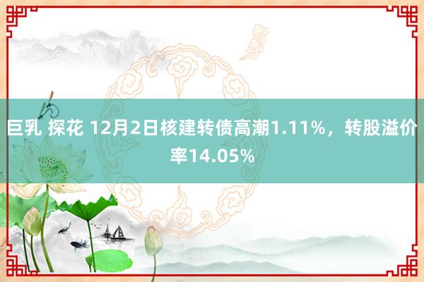 巨乳 探花 12月2日核建转债高潮1.11%，转股溢价率14.05%