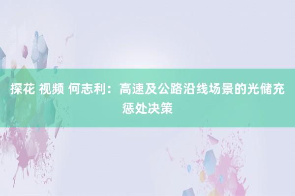 探花 视频 何志利：高速及公路沿线场景的光储充惩处决策