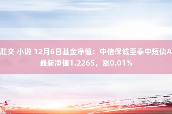 肛交 小说 12月6日基金净值：中信保诚至泰中短债A最新净值1.2265，涨0.01%