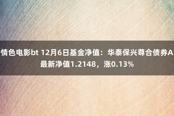 情色电影bt 12月6日基金净值：华泰保兴尊合债券A最新净值1.2148，涨0.13%