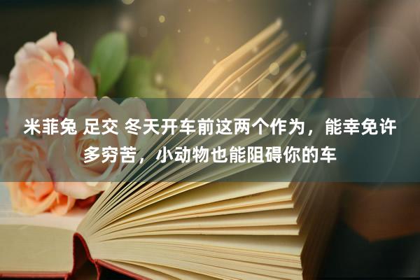 米菲兔 足交 冬天开车前这两个作为，能幸免许多穷苦，小动物也能阻碍你的车