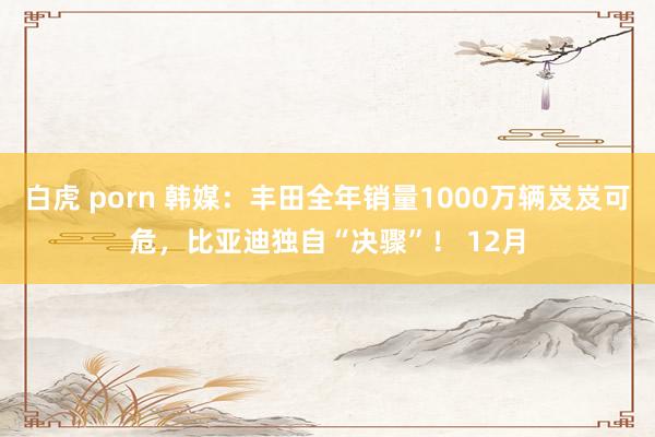 白虎 porn 韩媒：丰田全年销量1000万辆岌岌可危，比亚迪独自“决骤”！ 12月