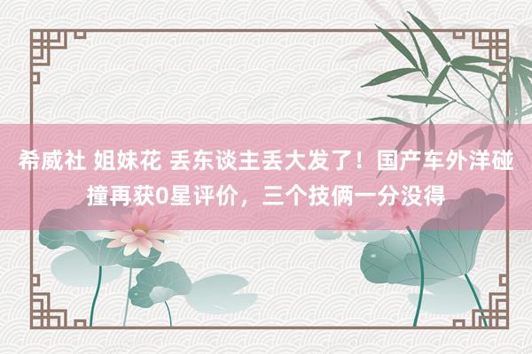 希威社 姐妹花 丢东谈主丢大发了！国产车外洋碰撞再获0星评价，三个技俩一分没得