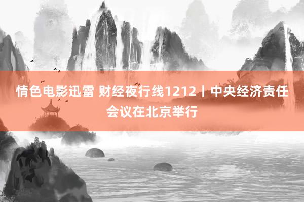 情色电影迅雷 财经夜行线1212丨中央经济责任会议在北京举行