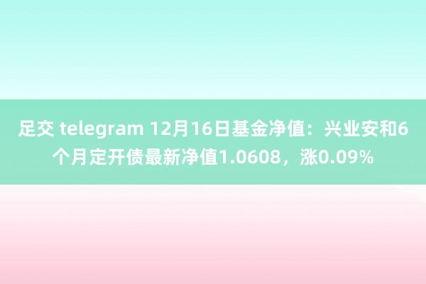 足交 telegram 12月16日基金净值：兴业安和6个月定开债最新净值1.0608，涨0.09%