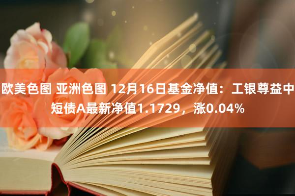 欧美色图 亚洲色图 12月16日基金净值：工银尊益中短债A最新净值1.1729，涨0.04%